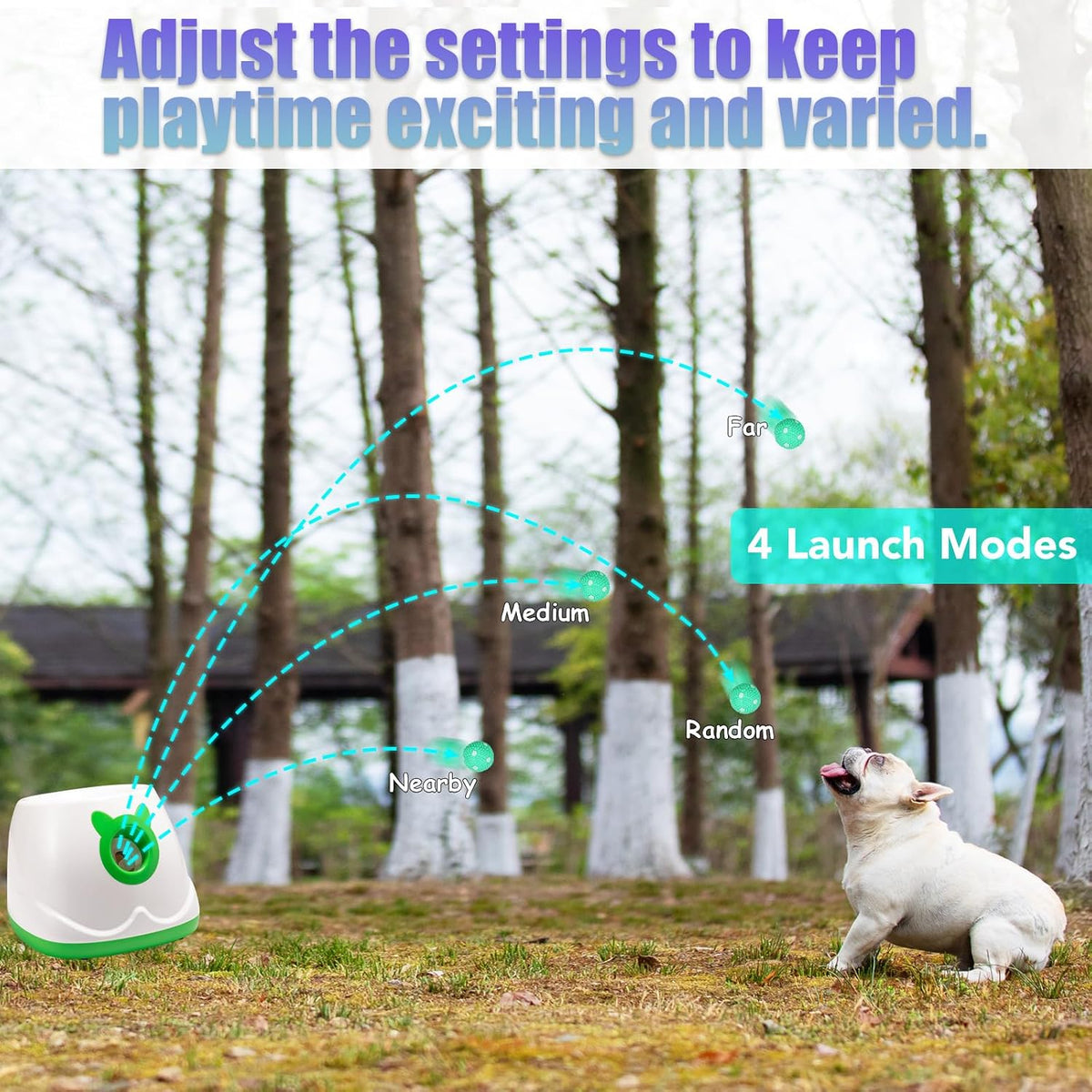 Automatic Dog Ball Launche with 9 Balls (2 inches)