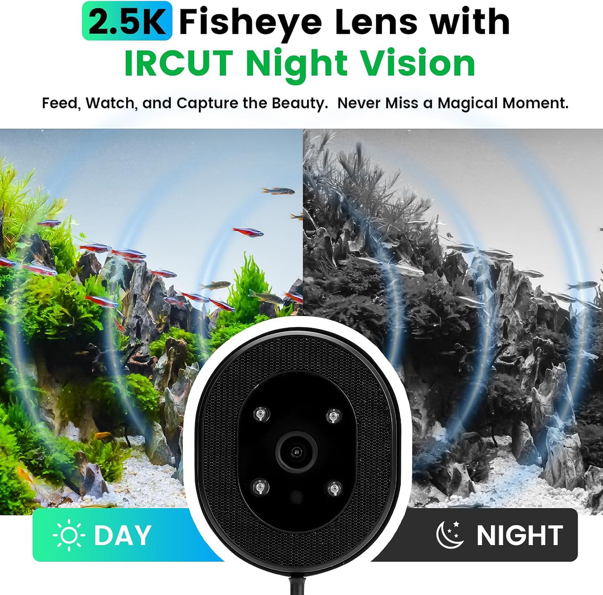 fishkeeper Automatic Fish Feeder for Aquarium Flakes, WiFi (2.4G/5.0G)