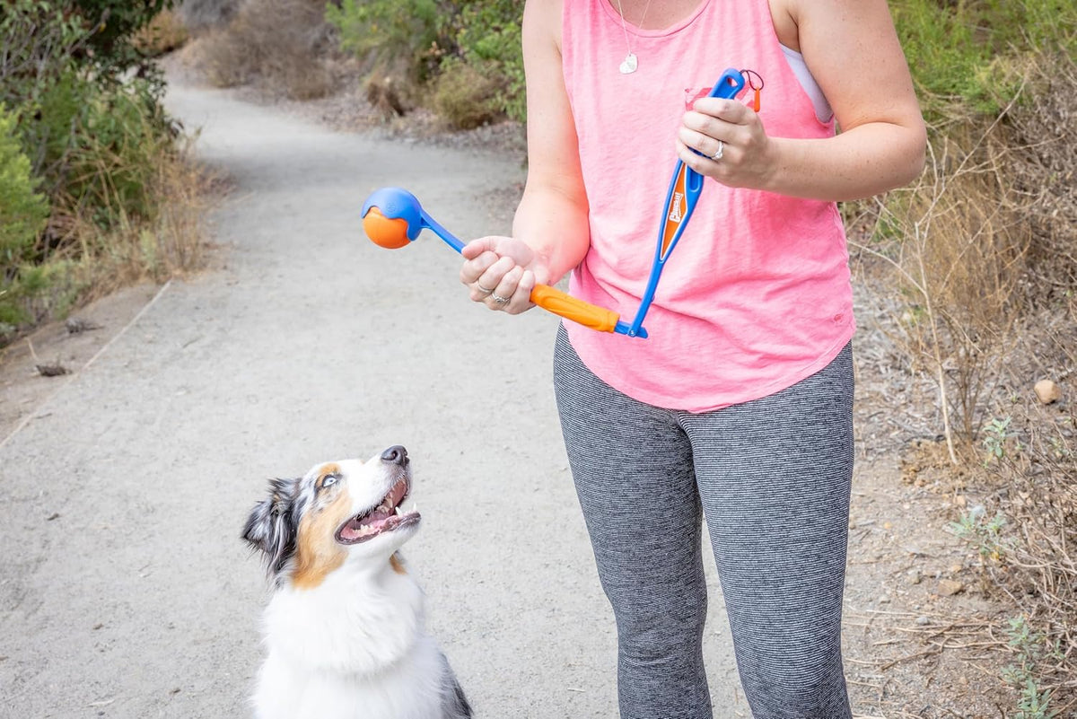 Chuckit! Fetch & Fold Mini 18M Dog Ball Launcher (Pack of 12)