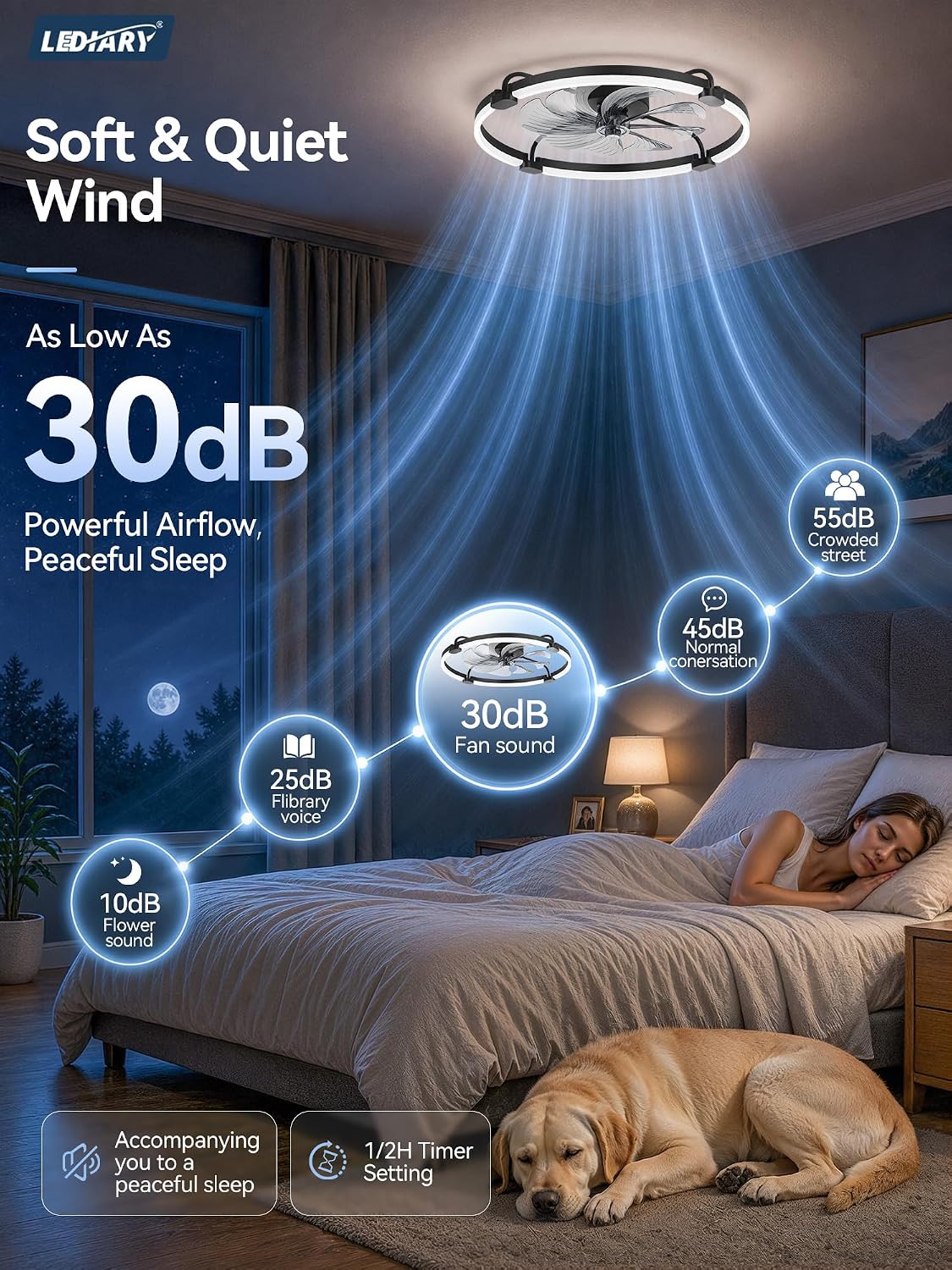 LEDIARY 24" Low Profile Ceiling Fans with Lights, Remote/APP Control, Black