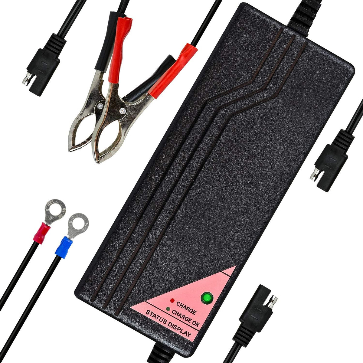 ExpertPower 12.8V 5A Smart Charger for Lithium LiFePO4 Deep Cycle Rechargeabl...
