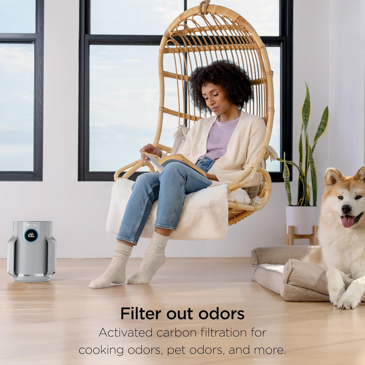 Shark NeverChange Compact Pro Air Purifier, HP071BRN, Winter Fog