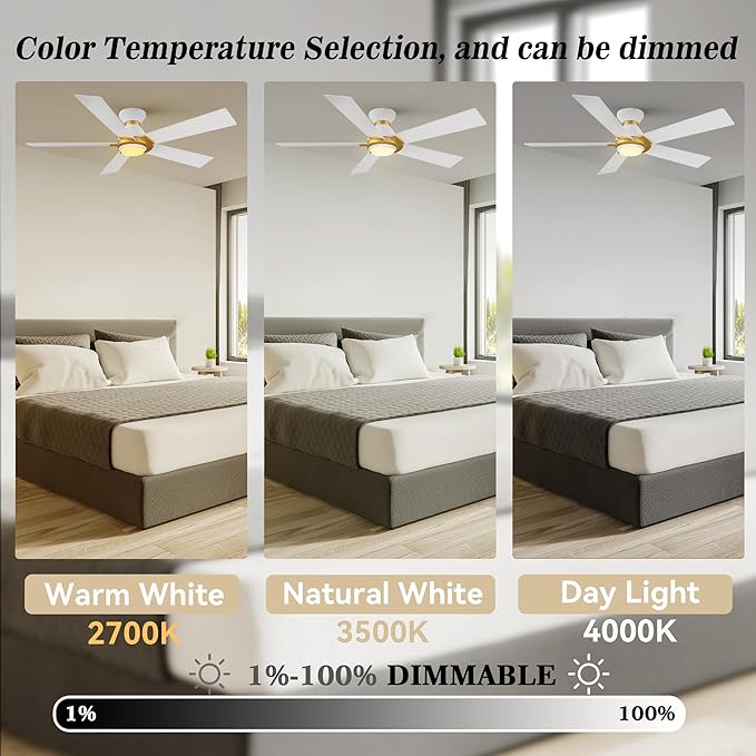 SMAAIR 52 Inch Smart Ceiling Fan