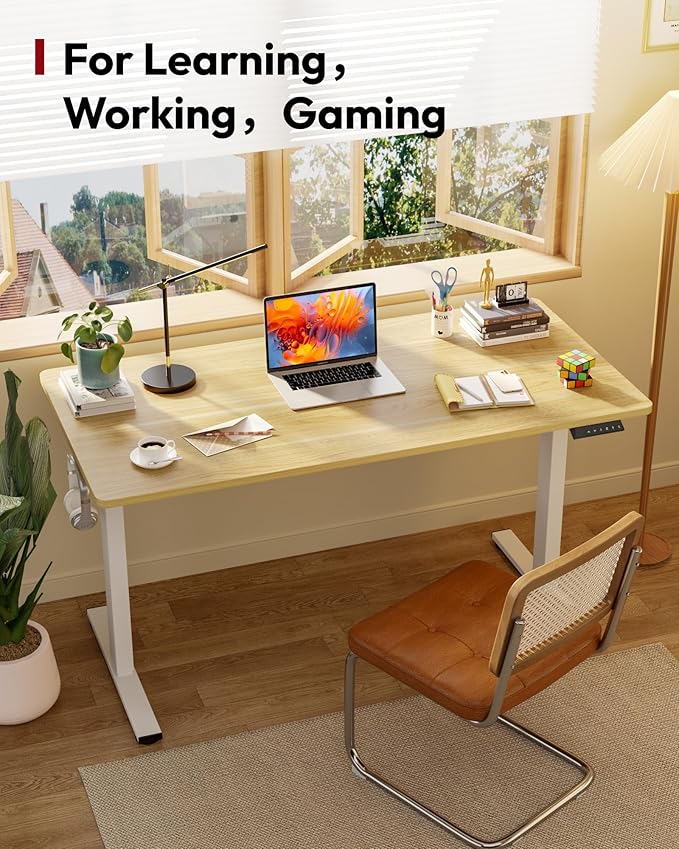 SANODESK Electric Standing Desk 48 x 30 Inches Whole-Piece Desktop Height