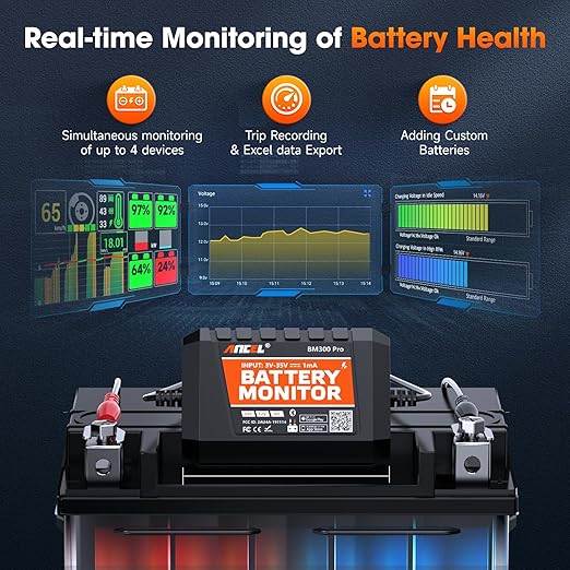 ANCEL BM Series 24V 12V 6V Battery Monitor