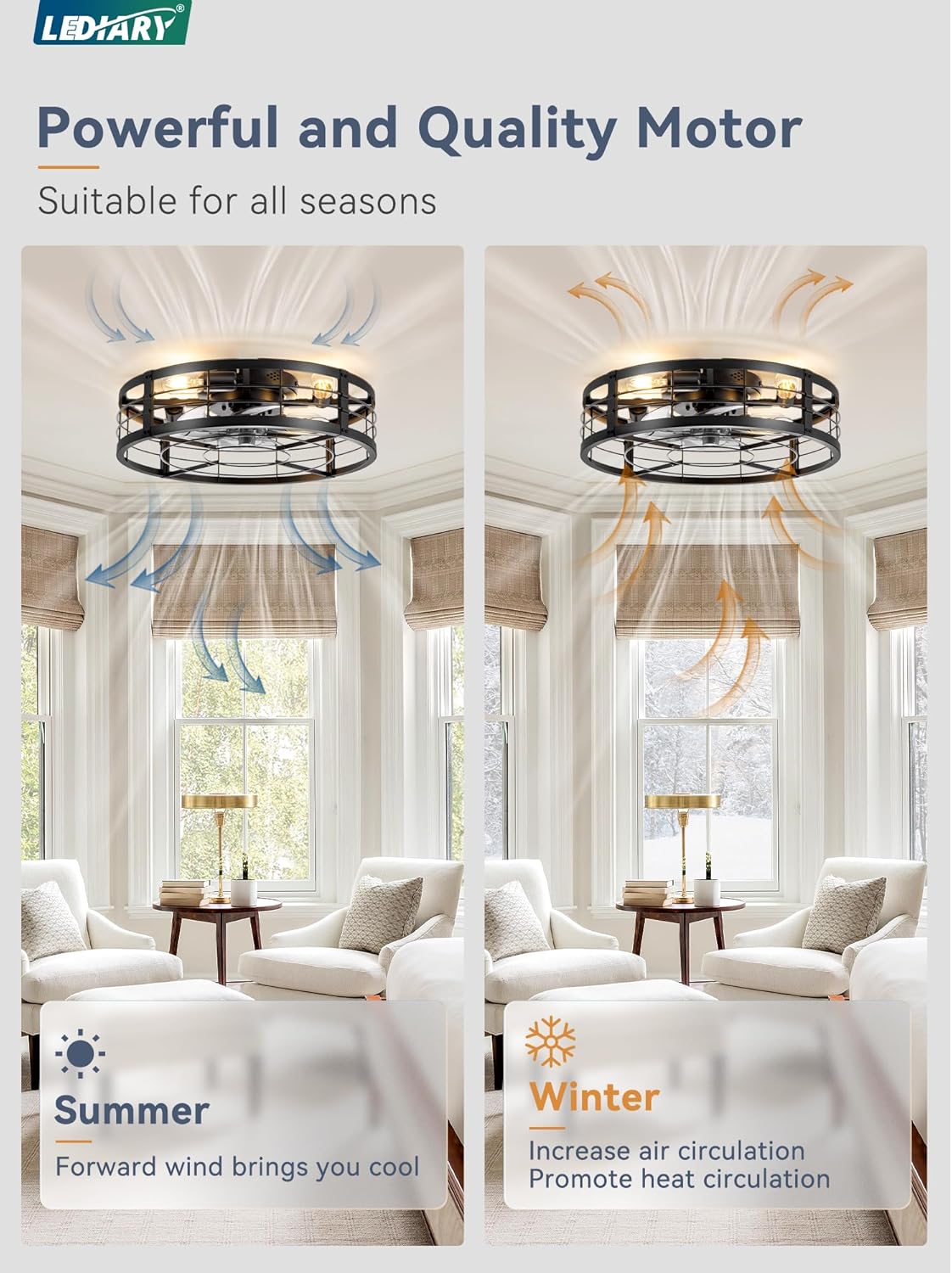 LEDIARY 20" Black Caged Low Profile Ceiling Fan with Light and Remote