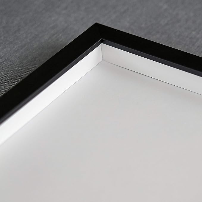 10x25 Shadow Box Frame Black | 1 Inch Deep Solid Wood Shadowbox Display Frame |