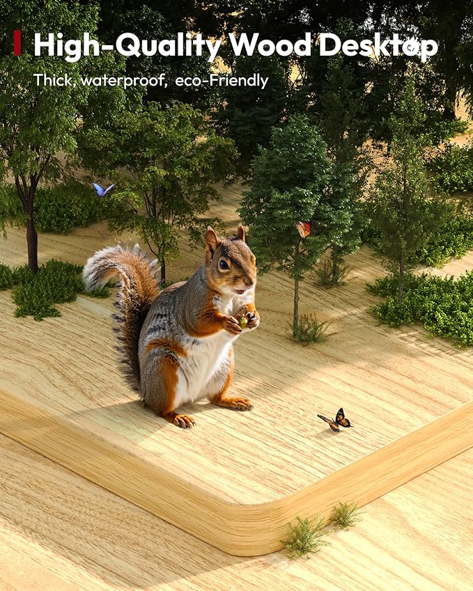 SANODESK Electric Standing Desk 48 x 30 Inches Whole-Piece Desktop Height